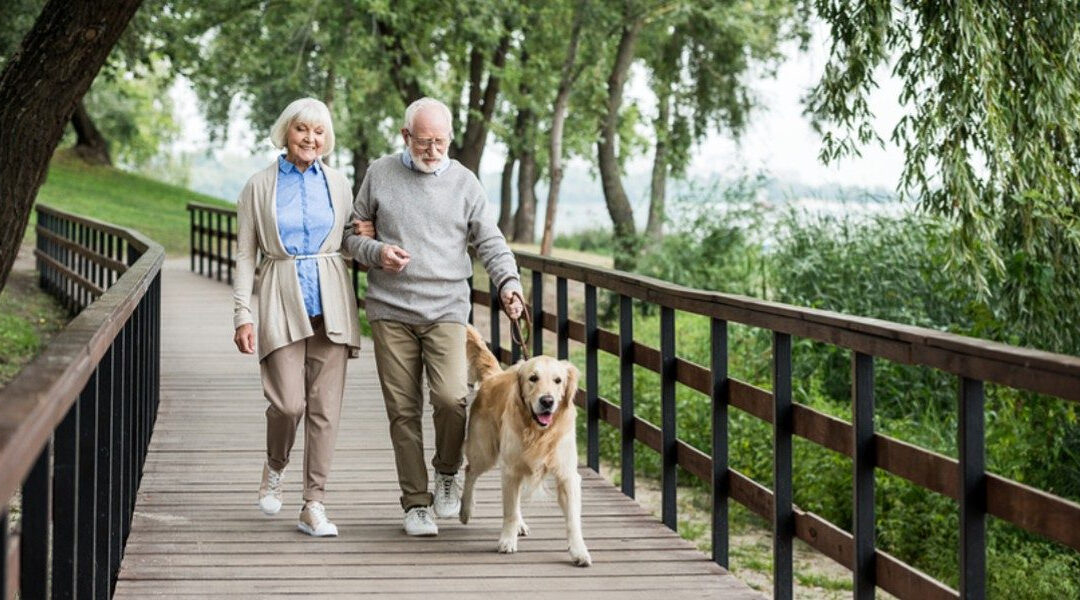 The Health Benefits When A Senior Cares For An Animal